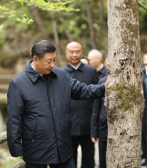 習近平最近三次地方考察，這個主題貫穿始終西寧防洪評價